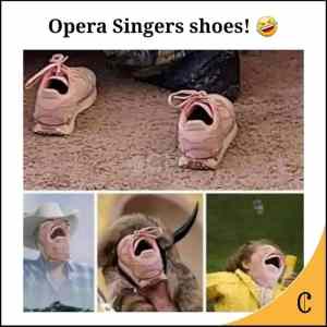 Obrázek 'opera singers shoes'