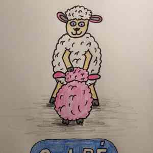 Obrázek 'oral&nbsp;be'