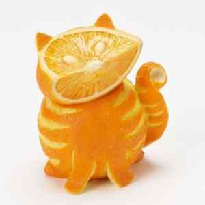 Obrázek 'orange cat'