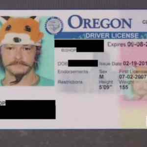 Obrázek 'oregon-d-license'