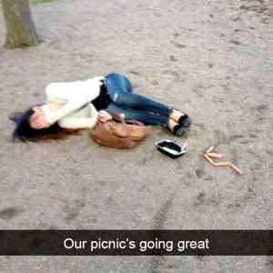 Obrázek 'our picnics    '