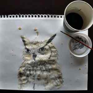 Obrázek 'owl paint'