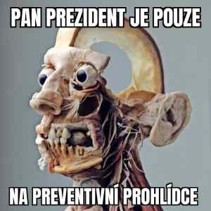 Obrázek 'pan prasident je jen na preventivni prohlidce'