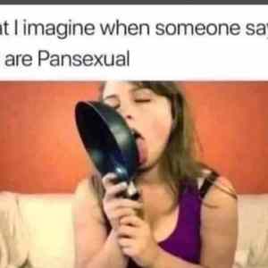 Obrázek 'pan sexual'