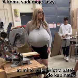 Obrázek 'pan ucitel lemieux'