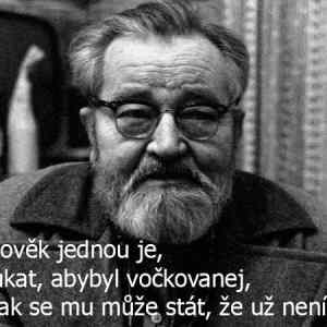 Obrázek 'panwerich'