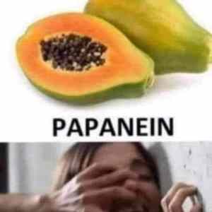 Obrázek 'papajanein'
