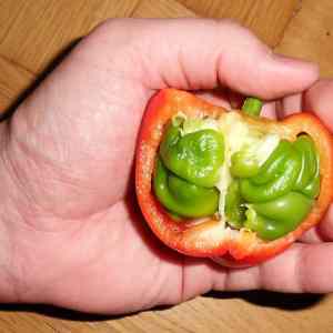 Obrázek 'paprika deeper'