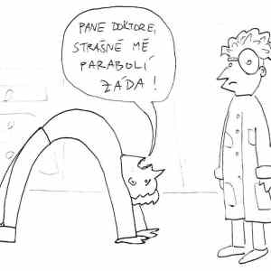 Obrázek 'paraboli zada'