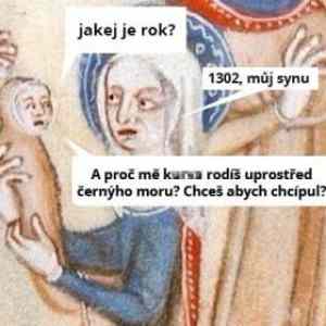 Obrázek 'parchant nevdecnej'
