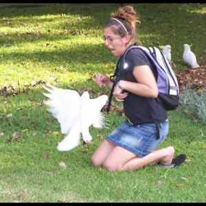 Obrázek 'parrot&nbsp;rape&nbsp;time'