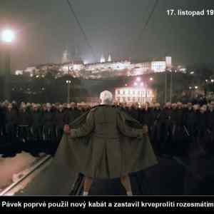 Obrázek 'pavek89'