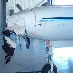 Obrázek 'pelican crash'