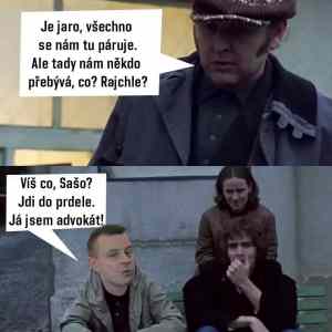 Obrázek 'pelisky&nbsp;2'