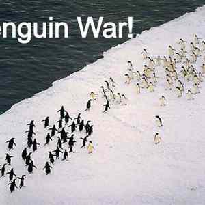 Obrázek 'penguin war'