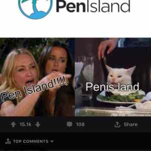 Obrázek 'peni or land'
