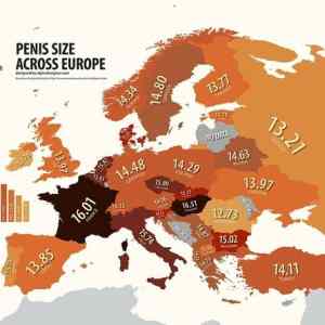 Obrázek 'penis size'