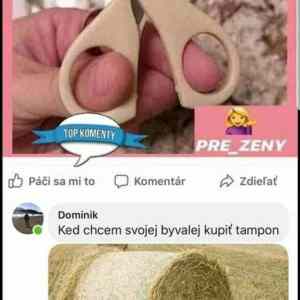 Obrázek 'penistampon'