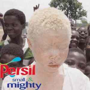 Obrázek 'persil'