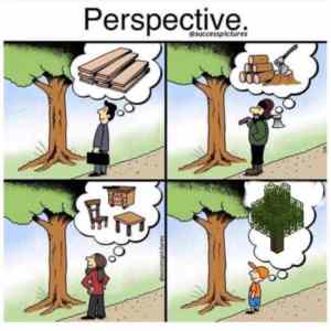 Obrázek 'perspektiva stromu'