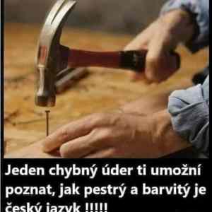 Obrázek 'pestry a barvity'