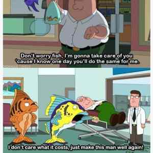 Obrázek 'peters favor'