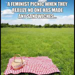 Obrázek 'picnic5800'