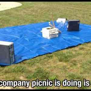 Obrázek 'picnic 540'