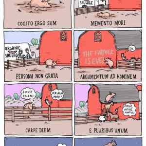 Obrázek 'pig&nbsp;latin'