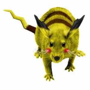 Obrázek 'pikachu rat'