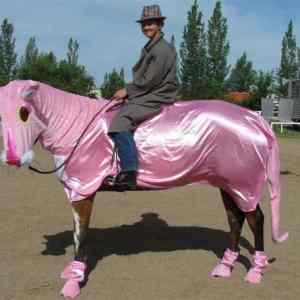 Obrázek 'pink horse'