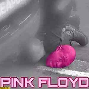 Obrázek 'pink pink-floyd-literally-george-floyd-pink-head'