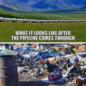 Obrázek 'pipelineprotest'