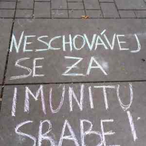 Obrázek 'piste vzkazy ceskym politikum ne slovenskym'