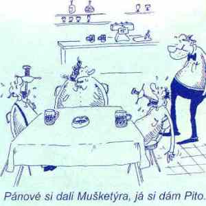 Obrázek 'pito'