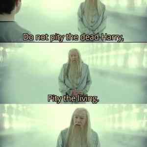 Obrázek 'pitty&nbsp;the&nbsp;fools'