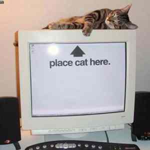 Obrázek 'place cat here'