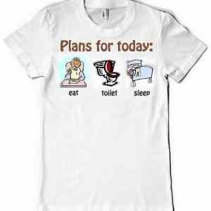 Obrázek 'plans for today'