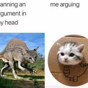 Obrázek 'plans&nbsp;vs&nbsp;reality'