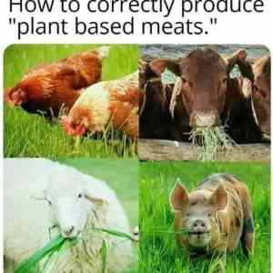 Obrázek 'plant based meat approved'