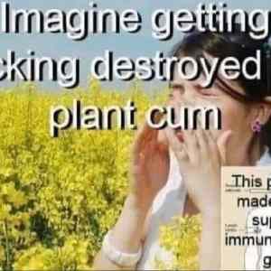 Obrázek 'plant cum'