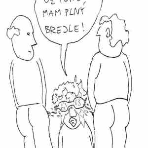 Obrázek 'plny&nbsp;brejle'