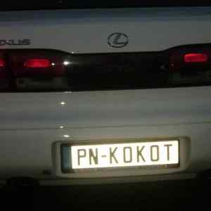 Obrázek 'pn-kokot'