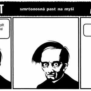 Obrázek 'pochoutka1'