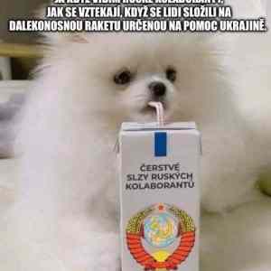 Obrázek 'pochoutka od ubulencu'