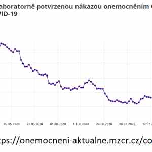 Obrázek 'podil-hospitalizovanych-na-celkovem-poctu-pozitivnich'