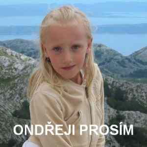 Obrázek 'podoba'