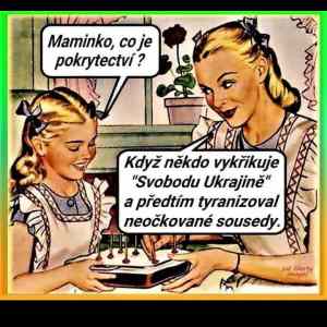 Obrázek 'pokrytci z roumingu'