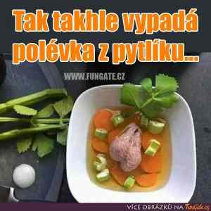 Obrázek 'polepyt'