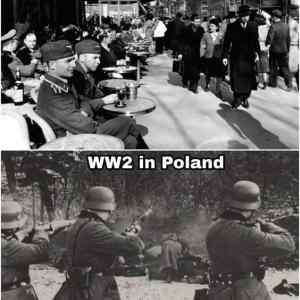 Obrázek 'polfrawwii'